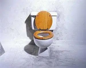 致女性同胞们,致女同胞