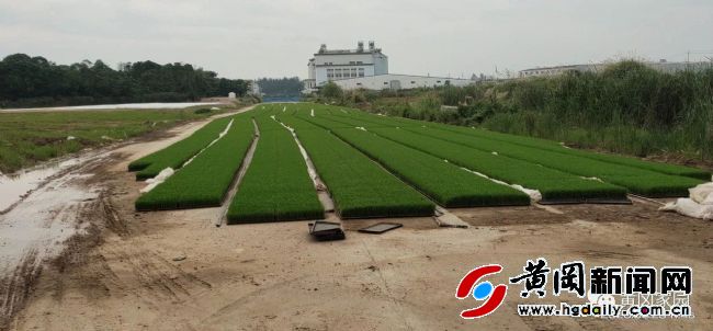 市供销社努力开创服务三农新局面,供销社改革工作简报