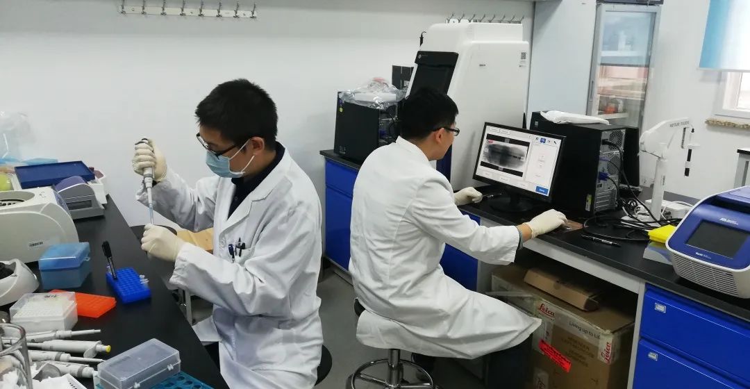 北京妇产医院妇科特色,妇产医院喜报