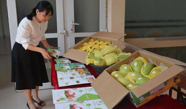 “iPhone梦”难产、首富押宝呼吸机，“越南制造”遭遇成长的烦恼