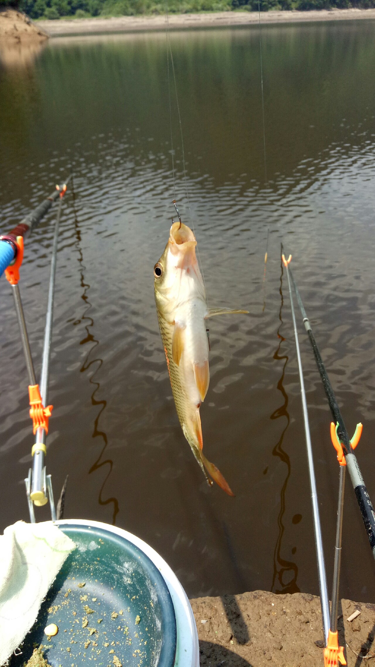 初探水库,初探千岛湖