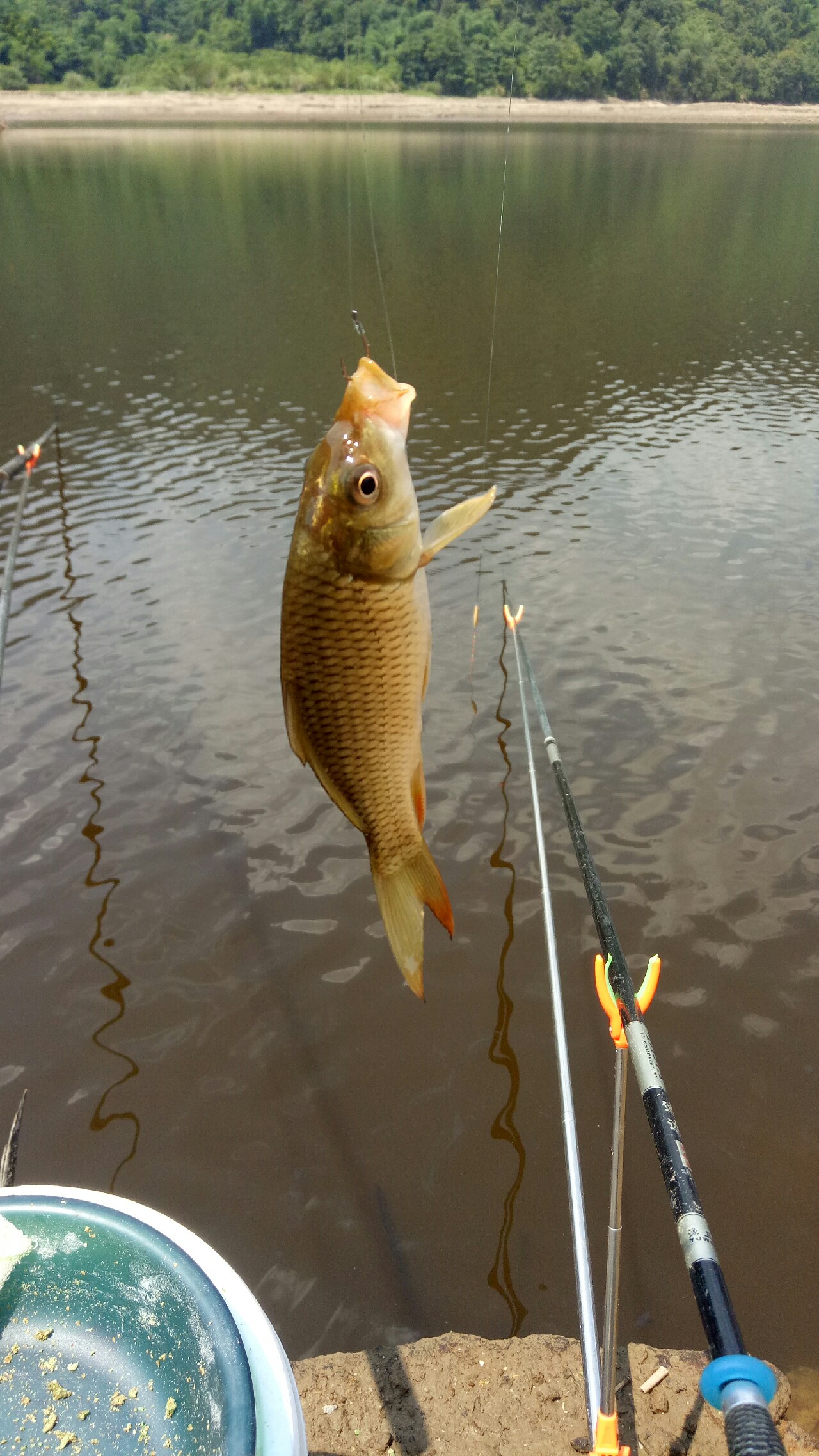 初探水库,初探千岛湖