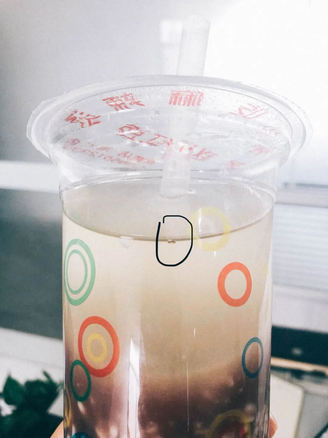 芜湖老字号到合肥，命运如何？