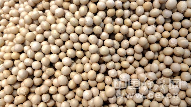 多吃一些天然的富含钙质的食物,钙的食物来源和常见补钙误区