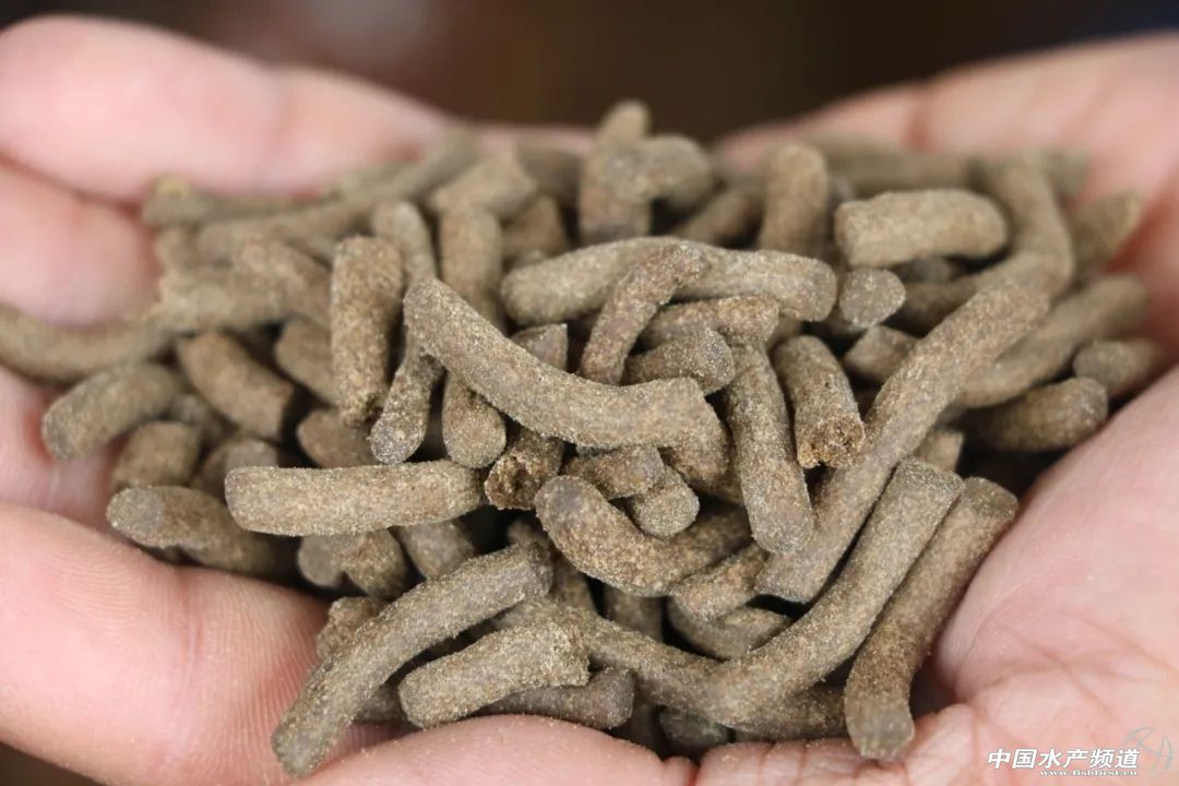 饲料鳜养殖成本多少钱一斤,饲料鳜养殖成本计算