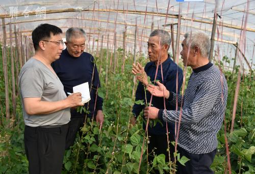 驻村第一书记*子唐**安*党**建引领聚人心实干造血“挖穷根”
