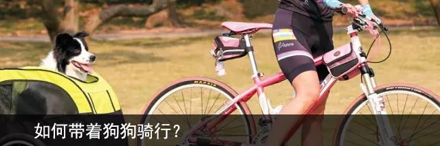 trek硬尾山地车xc,硬尾trek