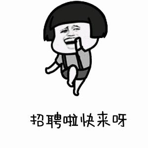 人才招聘会难找人,招聘会现场火爆找工作为何如此难