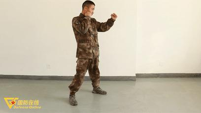 散打简洁动作图,散打训练动图