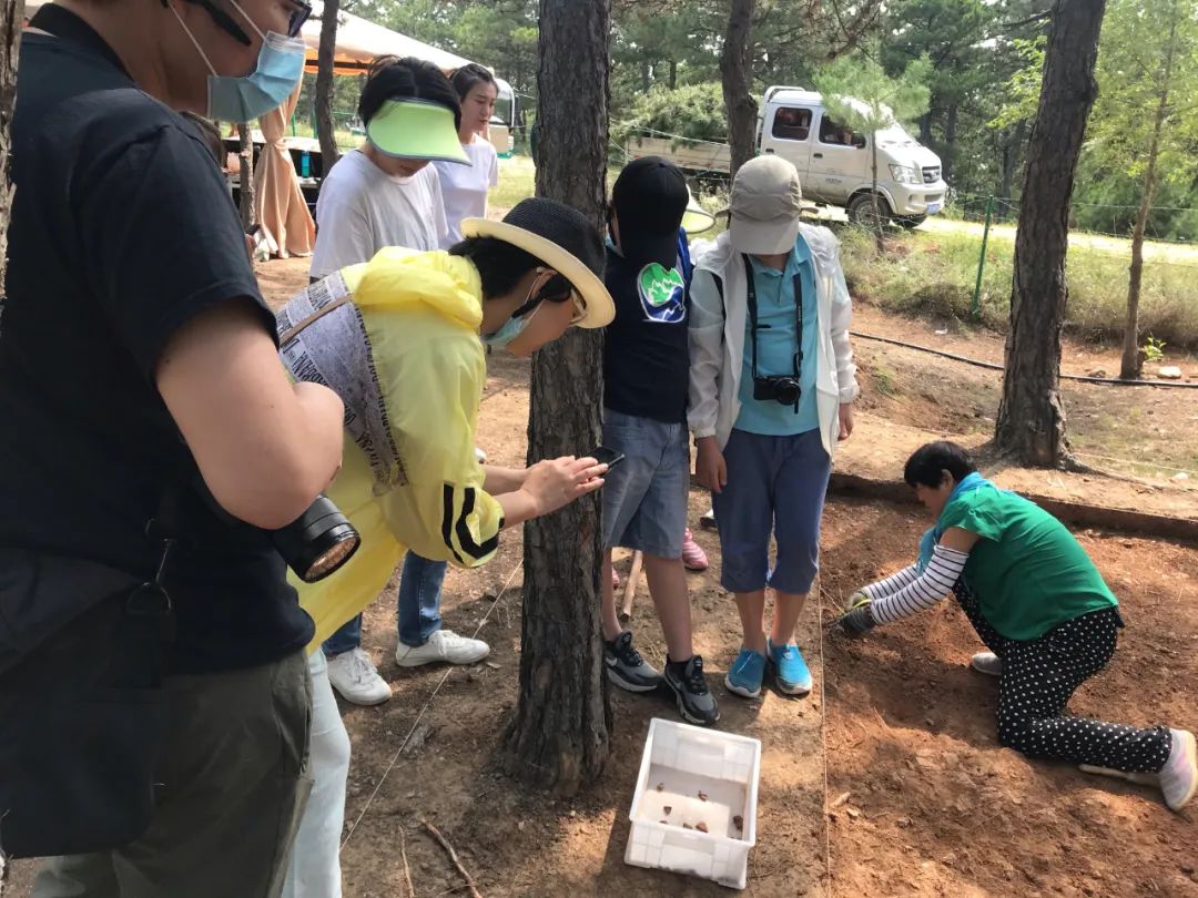 国庆旅游攻略内蒙,内蒙古之旅第一天