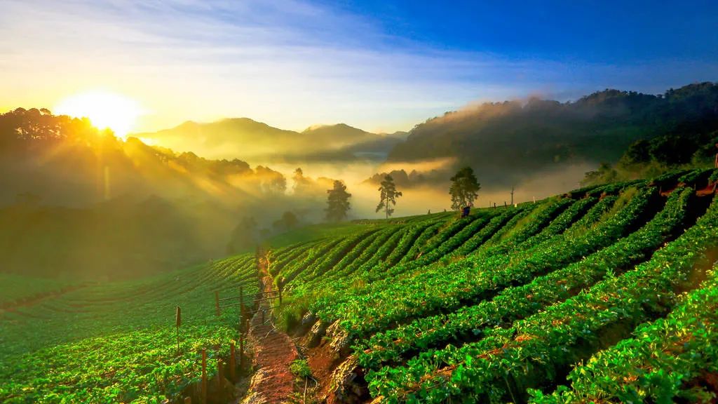 定居清迈的真实生活,生活在清迈的真实感受