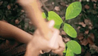 怎么丰胸安全又见效快不用吃药,丰胸除了按摩有什么方法