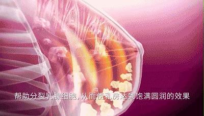 怎么丰胸安全又见效快不用吃药,丰胸除了按摩有什么方法