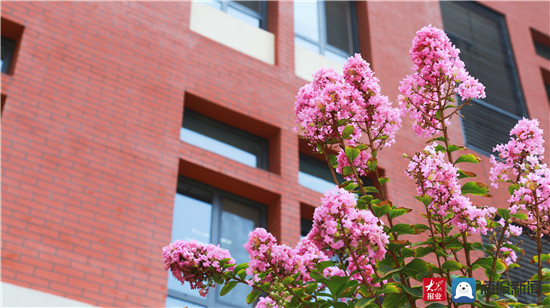 淄博经开区中小学招生,淄博经开区实验学校入学条件