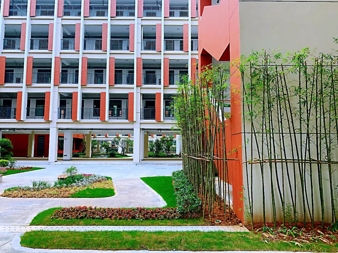 南京第二批学校开学,南京新建新学校名单