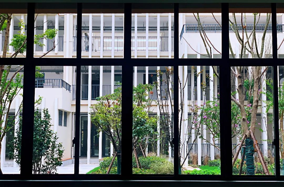 南京第二批学校开学,南京新建新学校名单