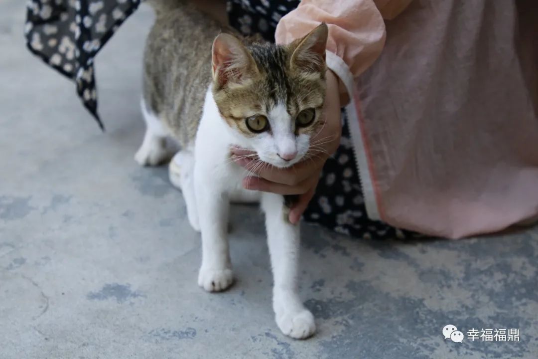 普陀山网红海景民宿推荐,普陀山岛上民宿客栈推荐