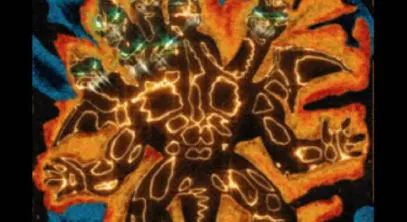 人人在线、万物互联的今天,我们为什么还要去逛买手店