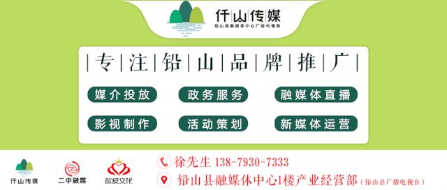 县委书记谈危岩,县委书记危岩