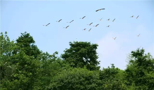 鄱阳最美的地方,鄱阳最漂亮的景点