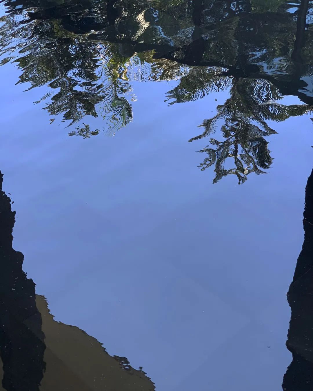 每当夏天又想起了你,每到这个季节就容易想起你