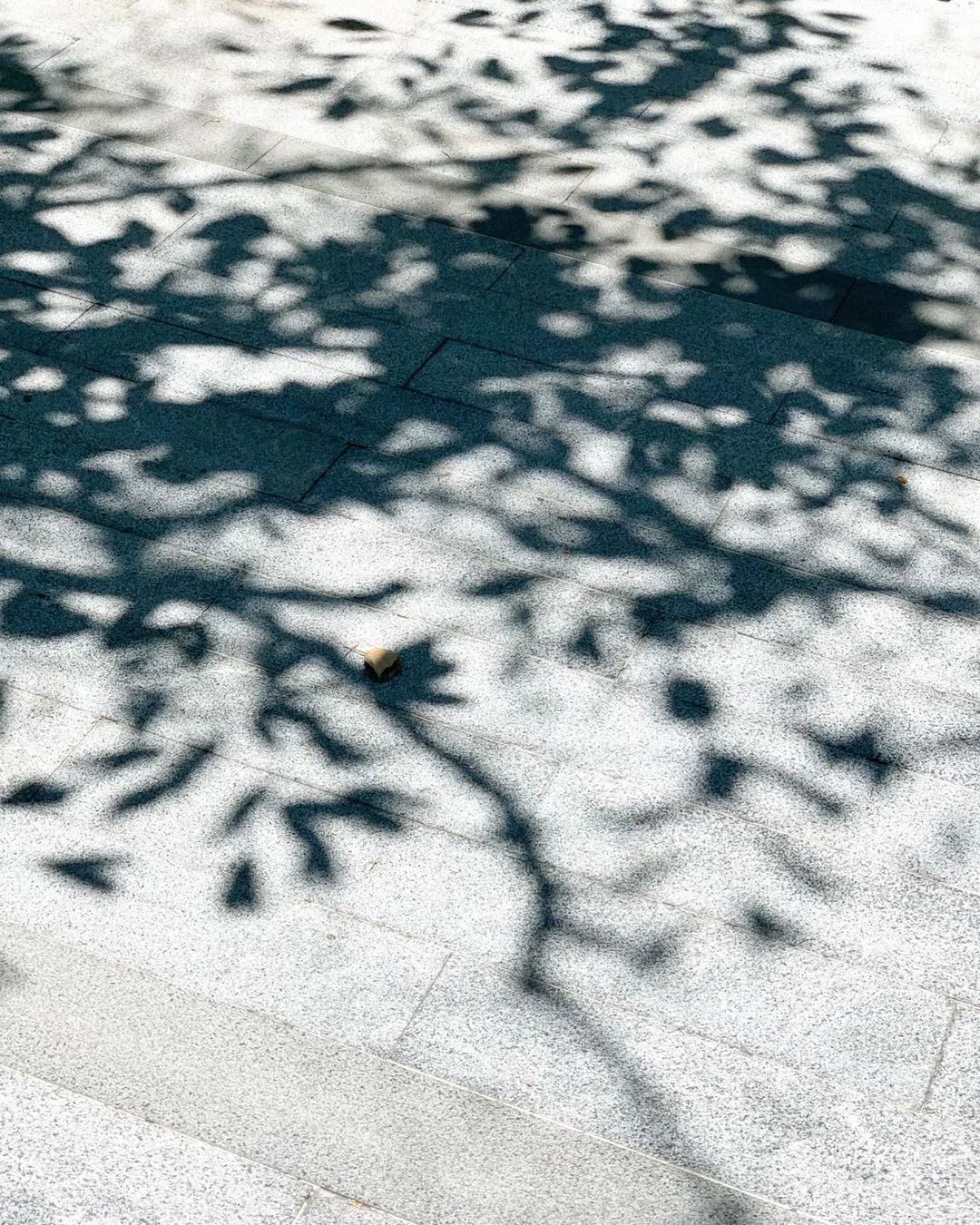 每当夏天又想起了你,每到这个季节就容易想起你