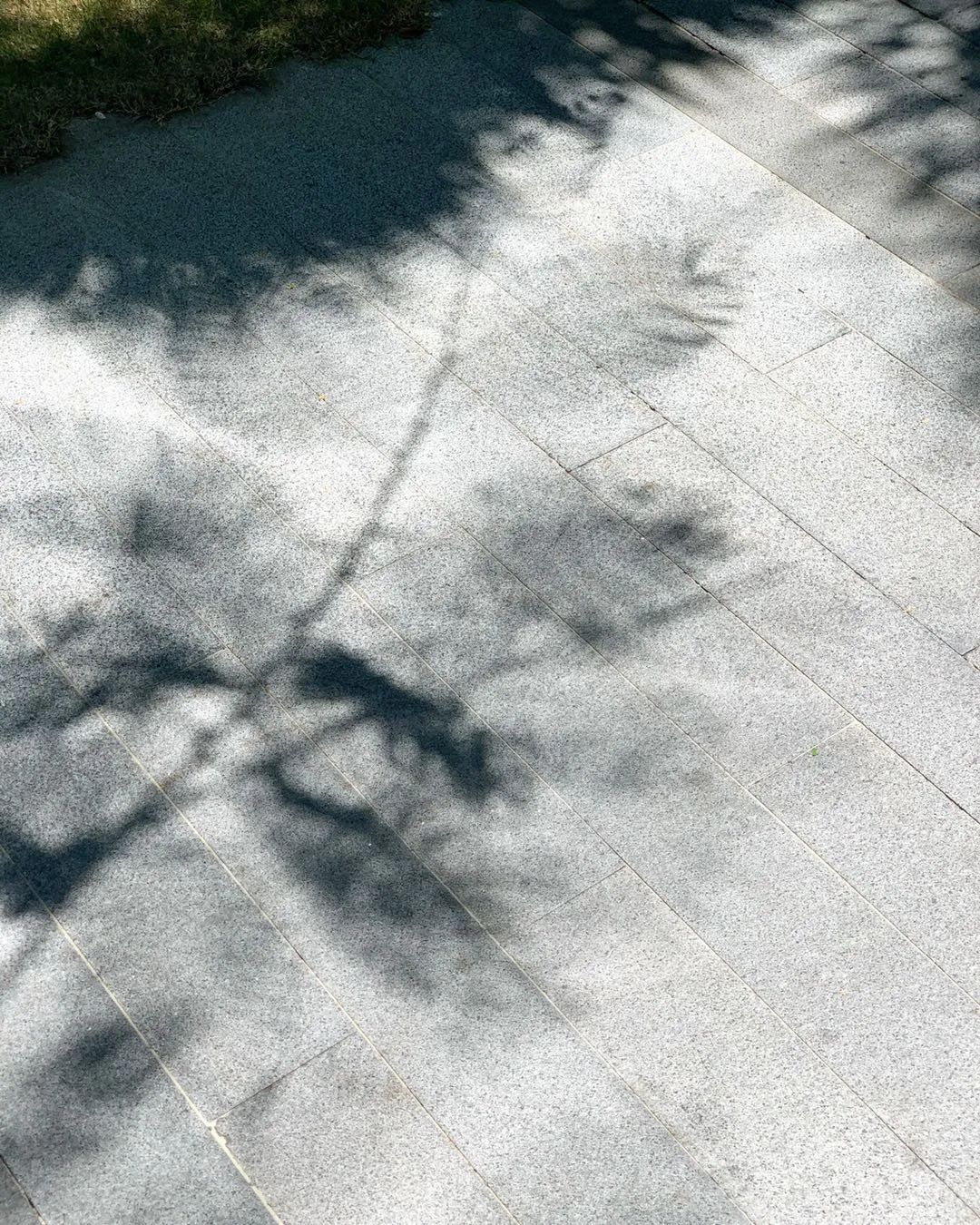 每当夏天又想起了你,每到这个季节就容易想起你