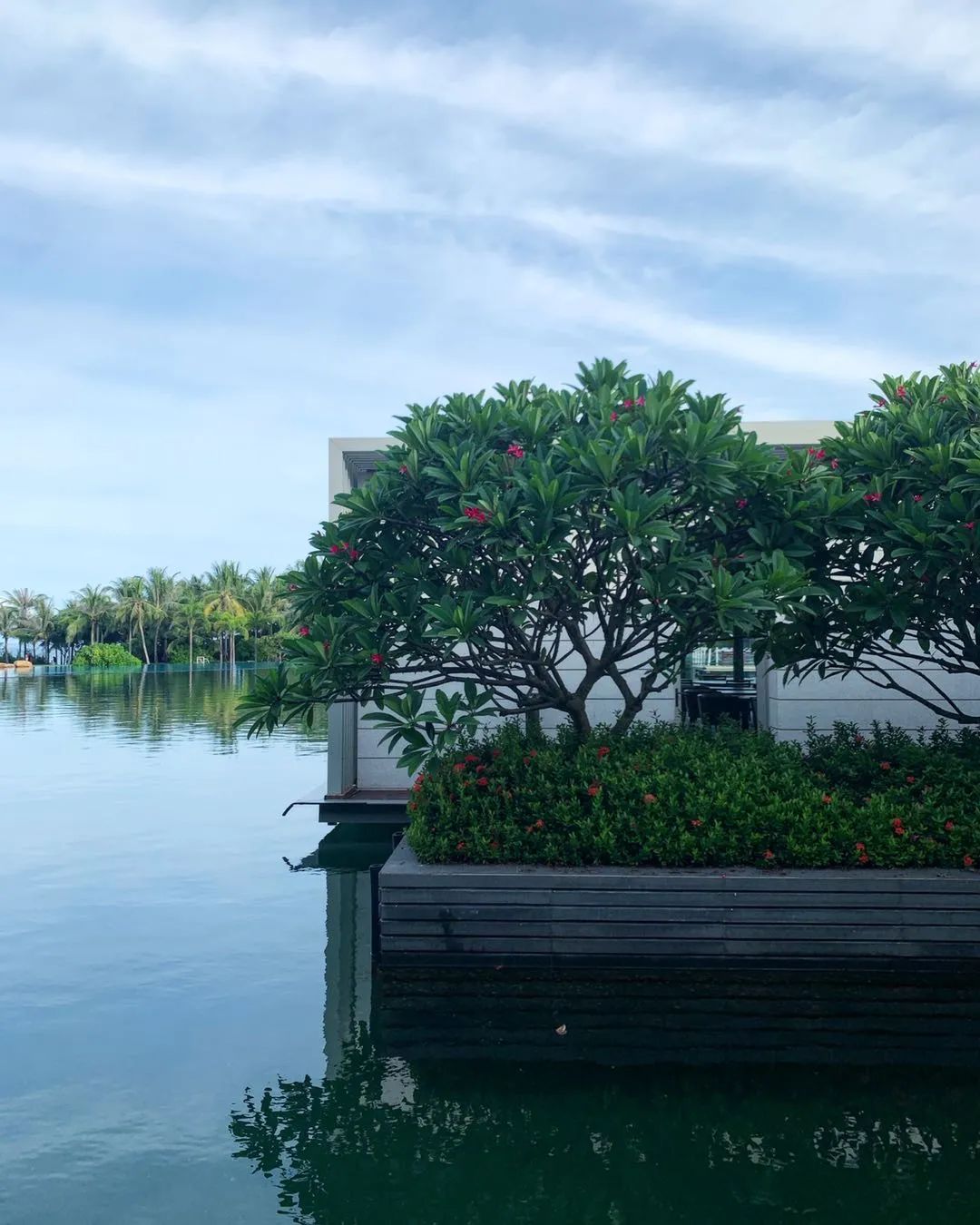 每当夏天又想起了你,每到这个季节就容易想起你