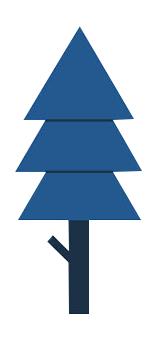 让我们一起去露营一起快乐,与你一起去露营