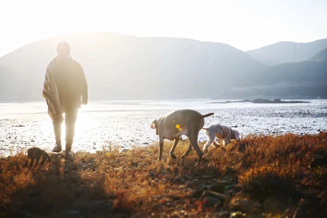让我们一起去露营一起快乐,与你一起去露营