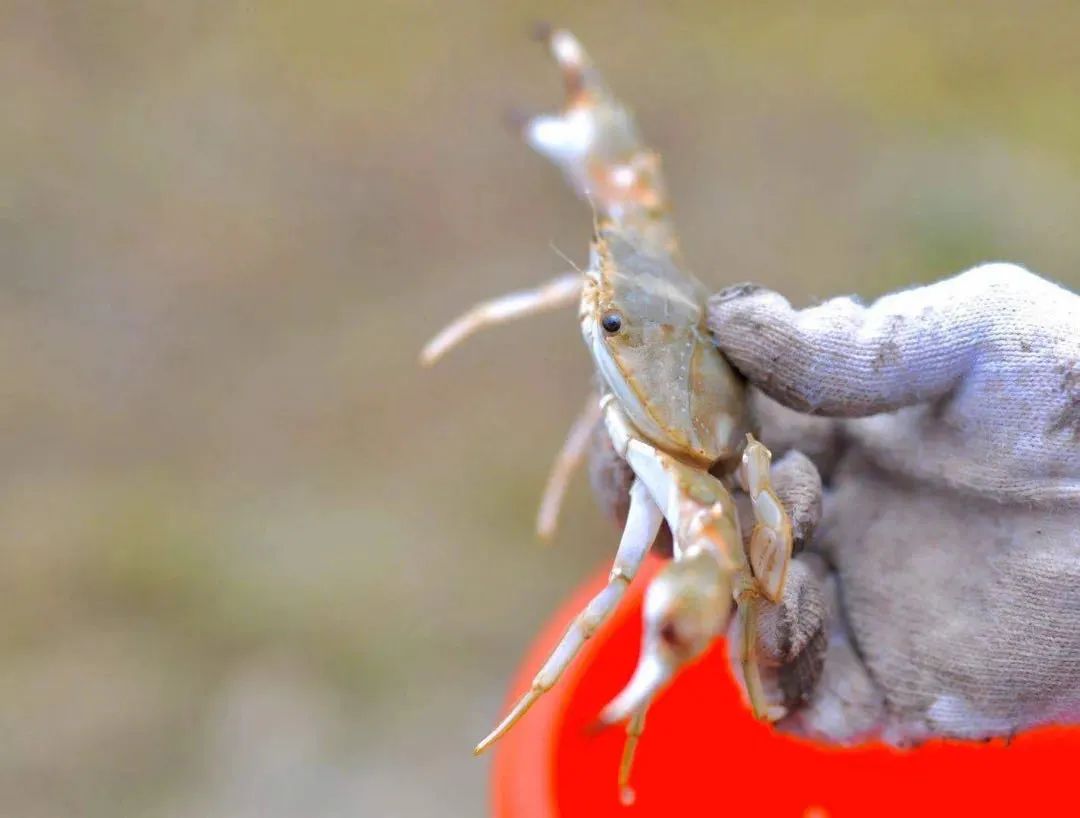 让我们一起去露营一起快乐,与你一起去露营