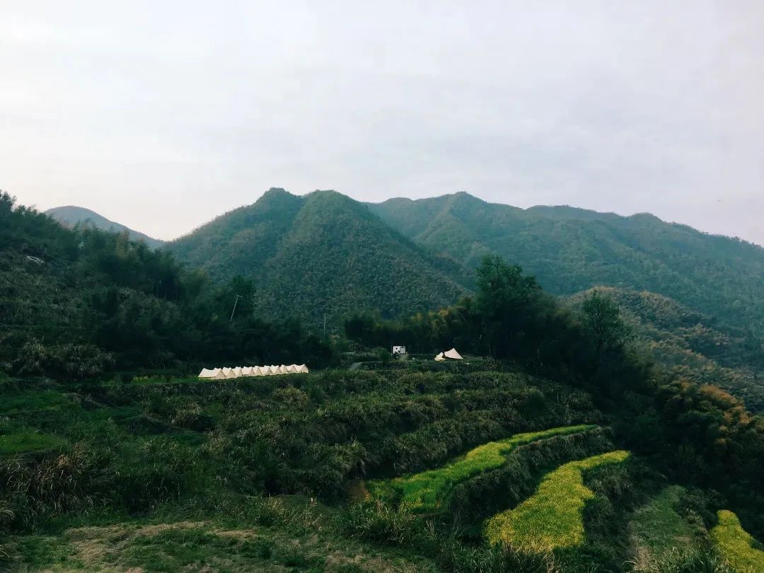 让我们一起去露营一起快乐,与你一起去露营