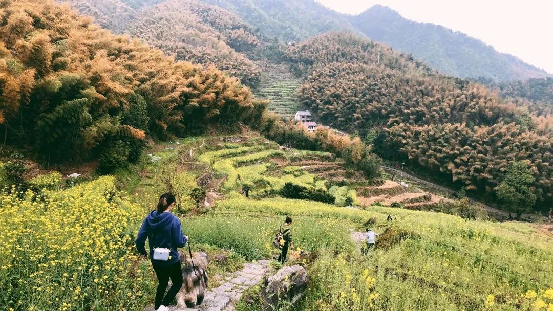 让我们一起去露营一起快乐,与你一起去露营