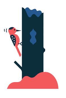 让我们一起去露营一起快乐,与你一起去露营