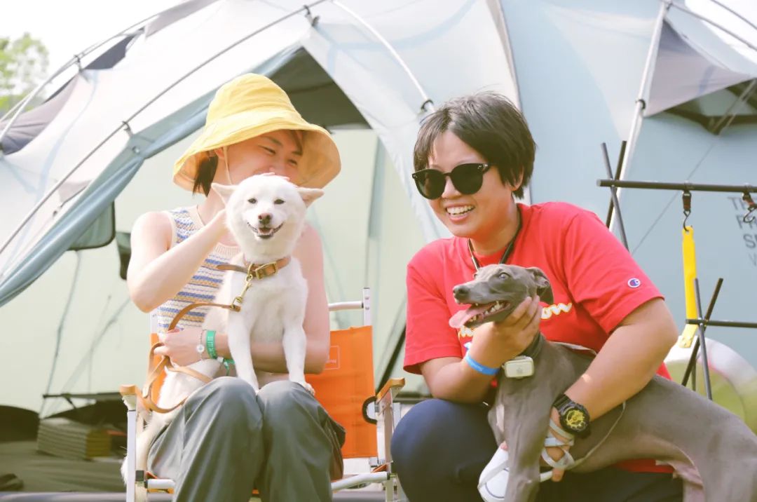 让我们一起去露营一起快乐,与你一起去露营