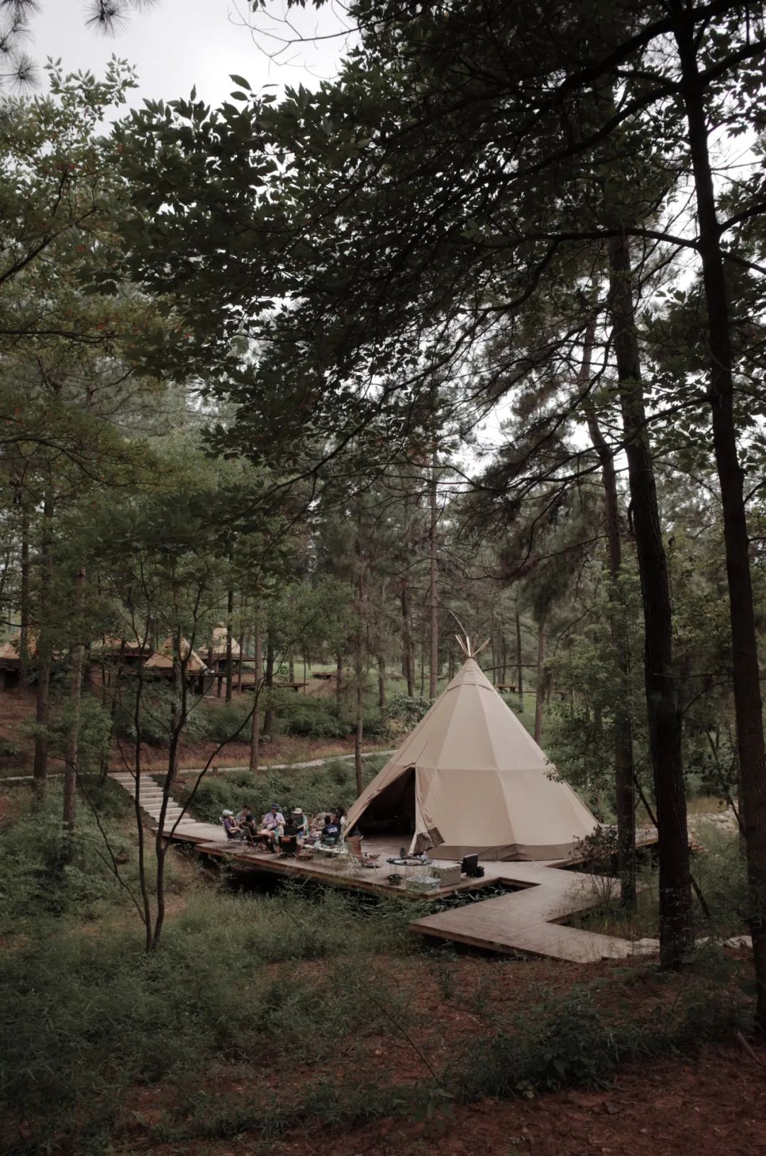 让我们一起去露营一起快乐,与你一起去露营