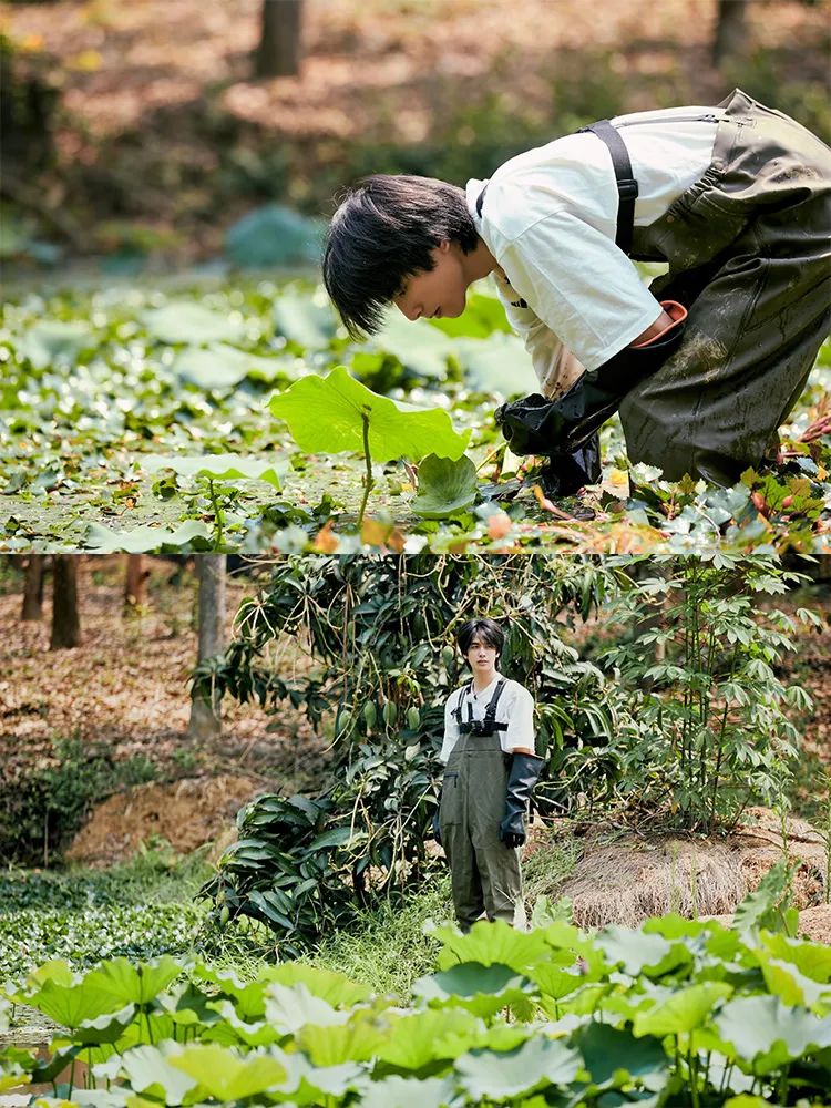 盘点很火的男友,盘点2020人气男主