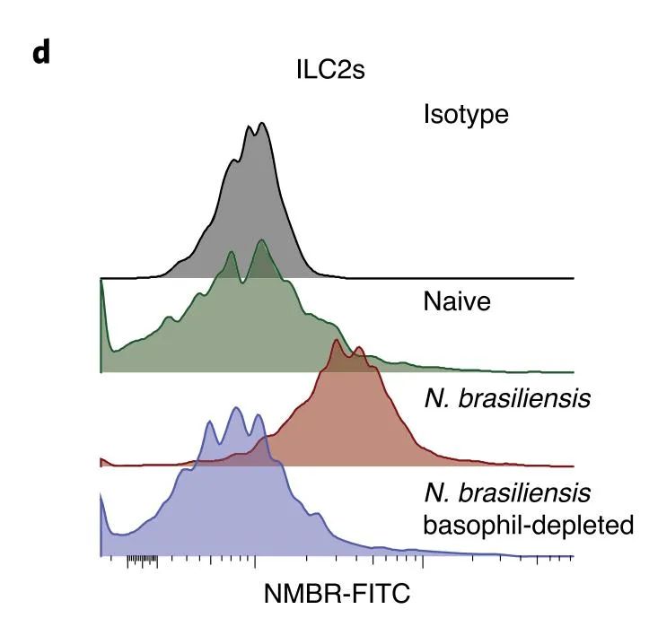 蠕虫感染的例子,蠕虫感染怎么治