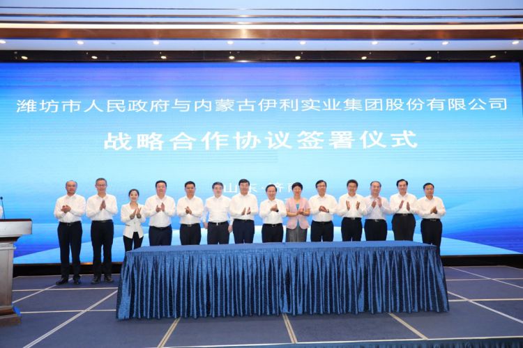 伊利山东建厂,伊利奶牛基地落户沧州