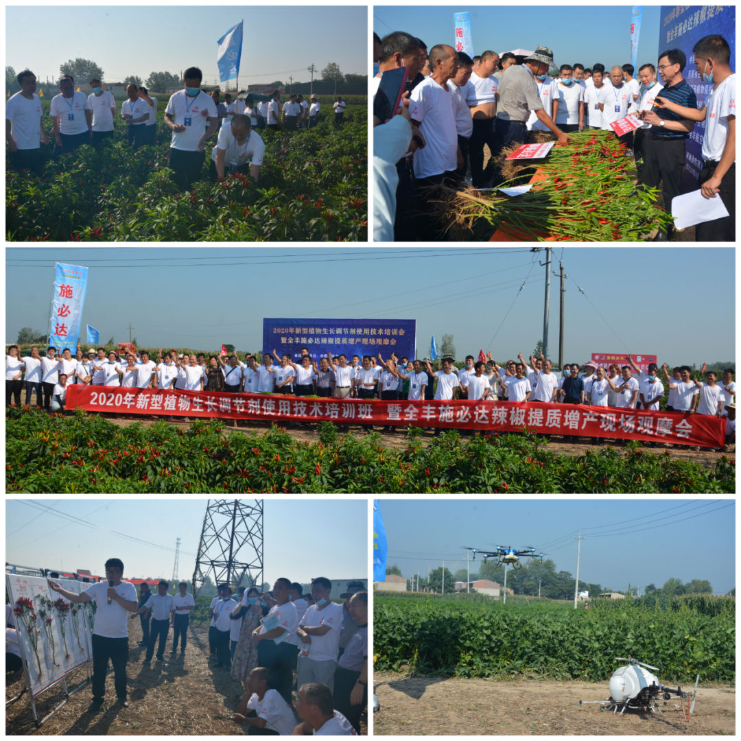 全丰施必达国光,辣椒叶面肥增产专用