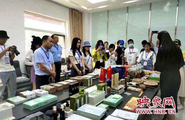 汤阴：“百草之王”名不虚传千年仙艾香飘万里