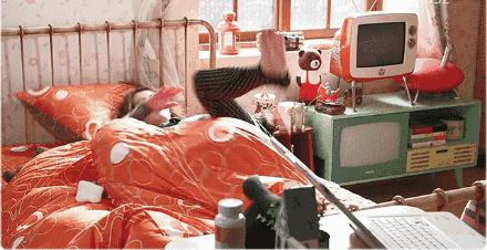 高腰防漏|一条能养鱼的*裤内**,是海王的新科技吗?