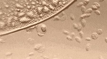 高腰防漏|一条能养鱼的*裤内**,是海王的新科技吗?