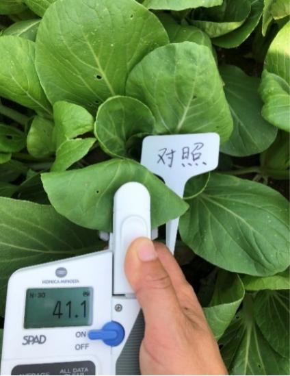 浣忓晢鑲ユ枡鍔╁姏绮惧搧鍐滀笟,浣忓晢鑲ユ枡鍔╁姏璐靛窞鍐滀笟