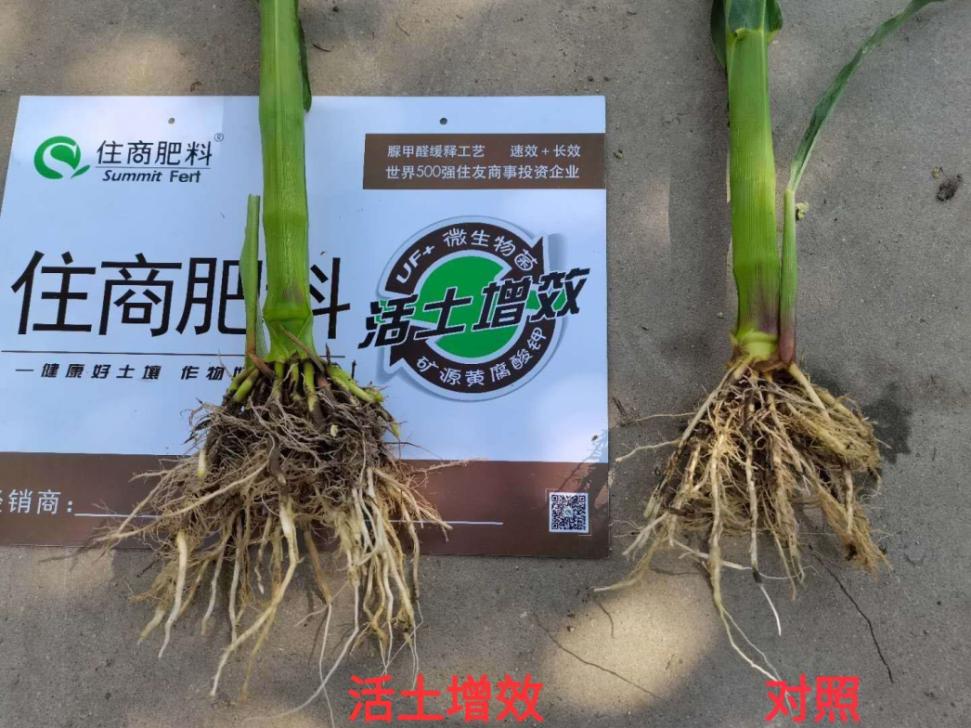 浣忓晢鑲ユ枡鍔╁姏绮惧搧鍐滀笟,浣忓晢鑲ユ枡鍔╁姏璐靛窞鍐滀笟