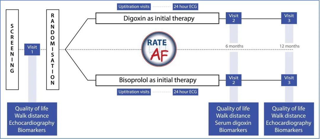 房颤的诊断和评估,永久性房颤心室率控制范围