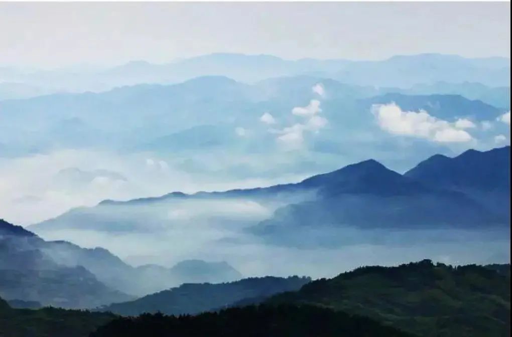 厦门旅游出行最详细攻略,玩转厦门自驾游的必备攻略