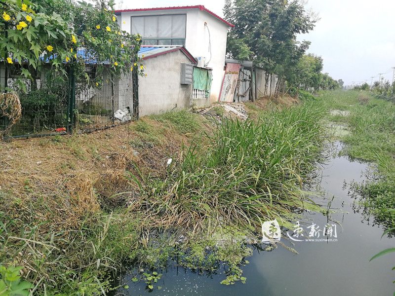 畜禽污水不能“粗”放