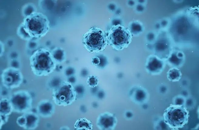 我国公民具备科学素质比例超过15%,2025年我国公民科学素质的标准