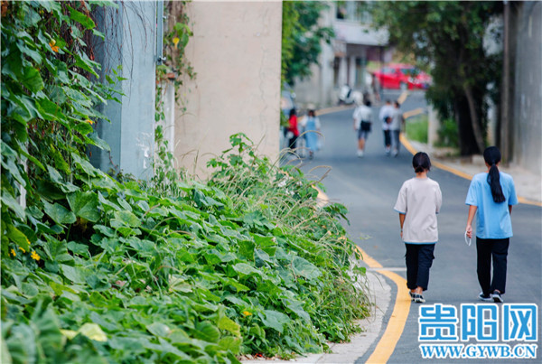 贵阳经开区七中分校支路：“烂泥沟”变“惠民路”颜值功能双提升